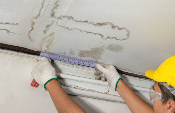 Reliable Flood Cleanup contractor in Ottoville, OH by Water Damage Irwin